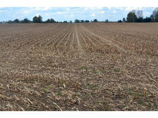 Property photo 30 - EHLE FARMS AUCTION - 118+/- ACRES IN 9 TRACTS IN ALLEN COUNTY, INDIANA
